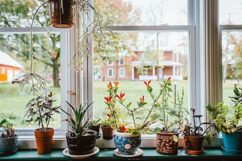 Фото Gîte TerreCiel