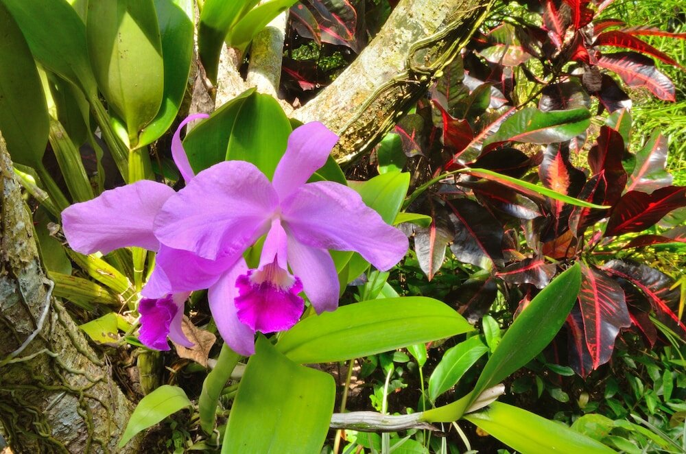 Фото Jendela di Bali Villa