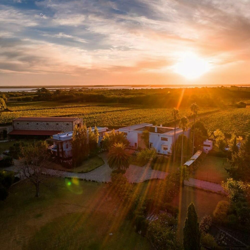 Фото Narbona Wine Lodge