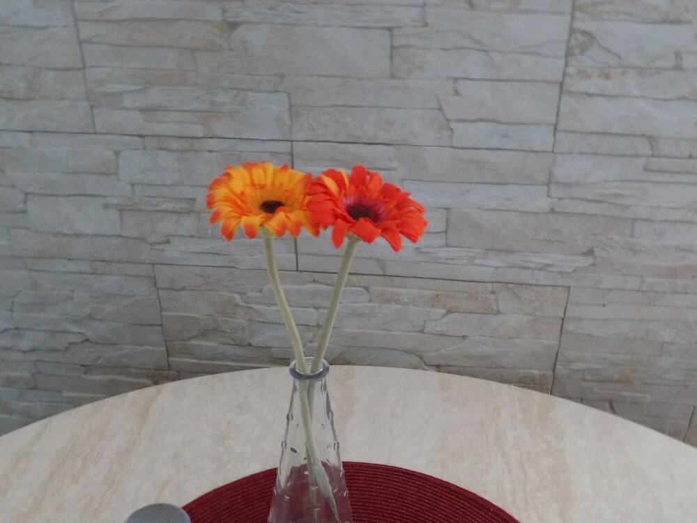 Фото The New Royal Windsor Hotel