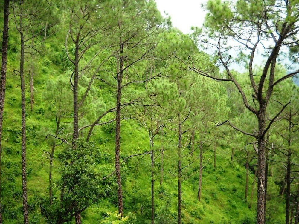 Фото Country Inn Sattal