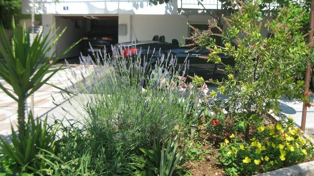 Фото Ljuba - Nice Garden - A2 Plavi