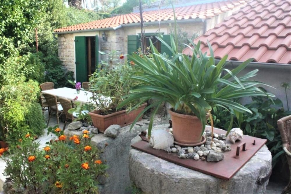 Фото Draga - Traditional & in Center - Sa2