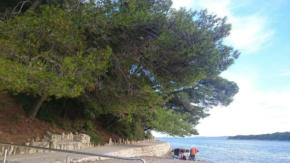 Фото Ninko - Comfortable - A1