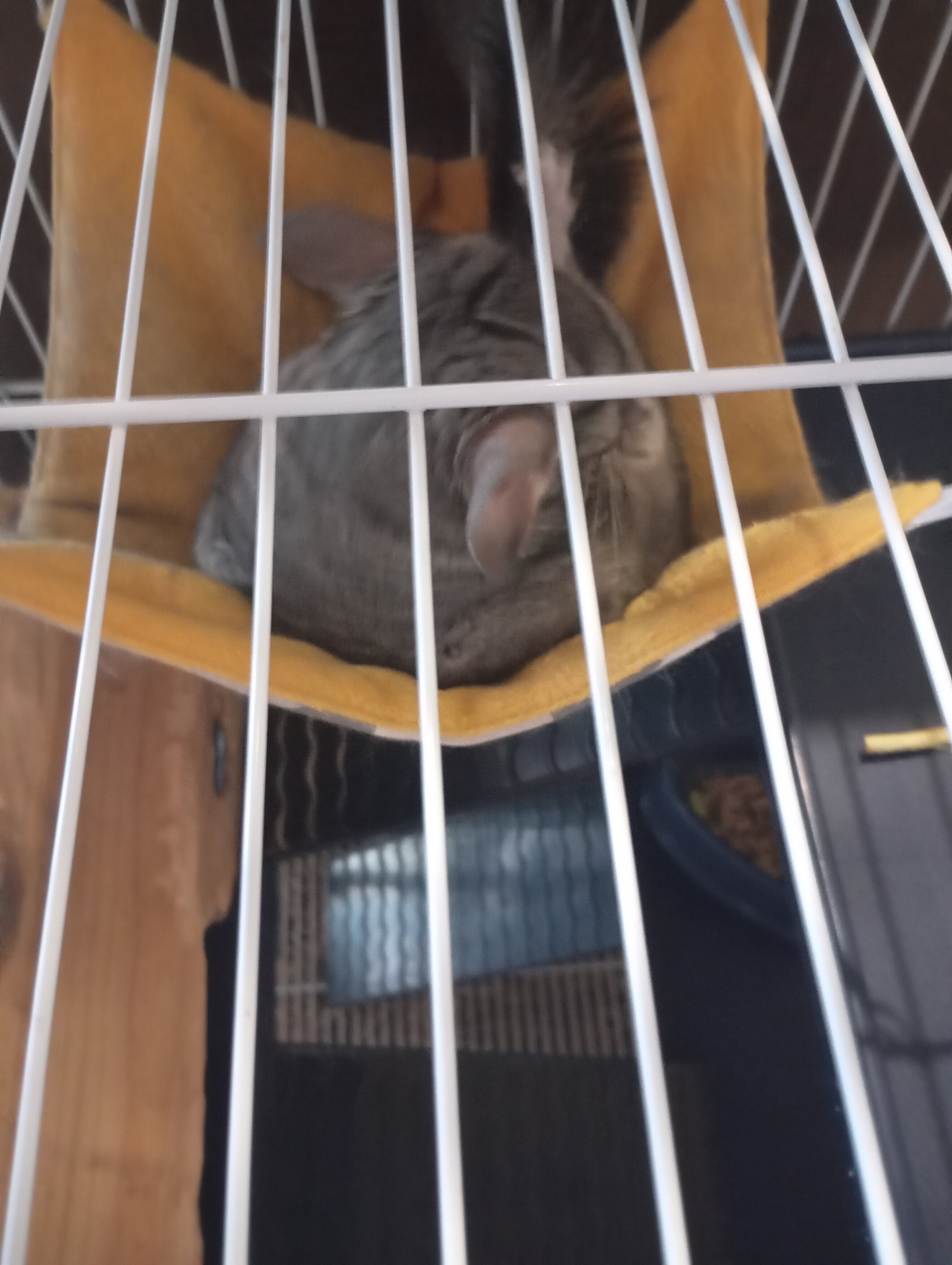 Фото Речная долина