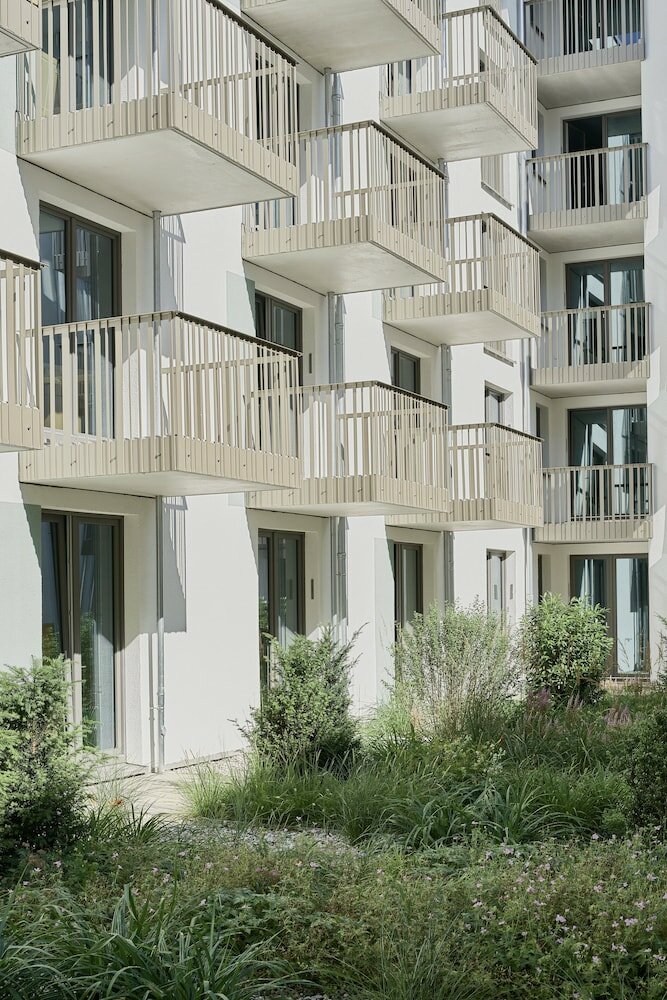 Фото Schwan Locke