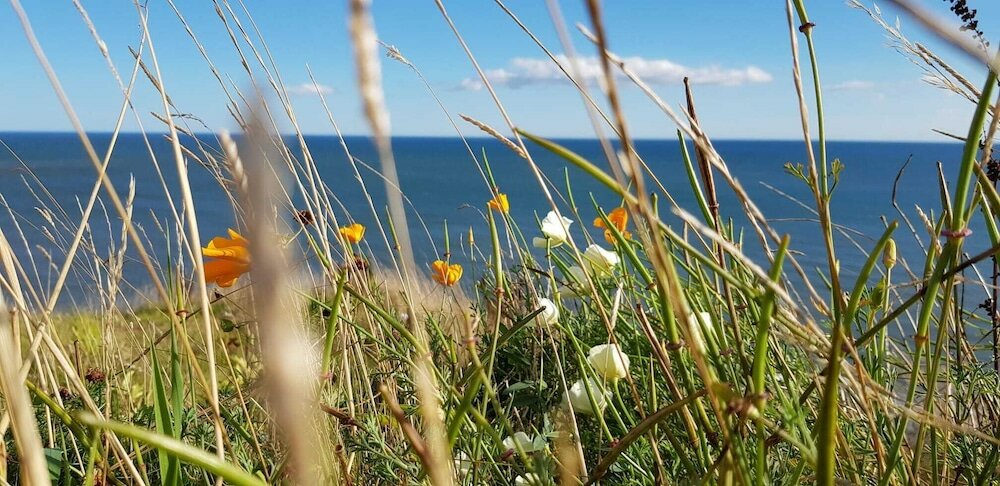 Фото Woodston Fishing Station