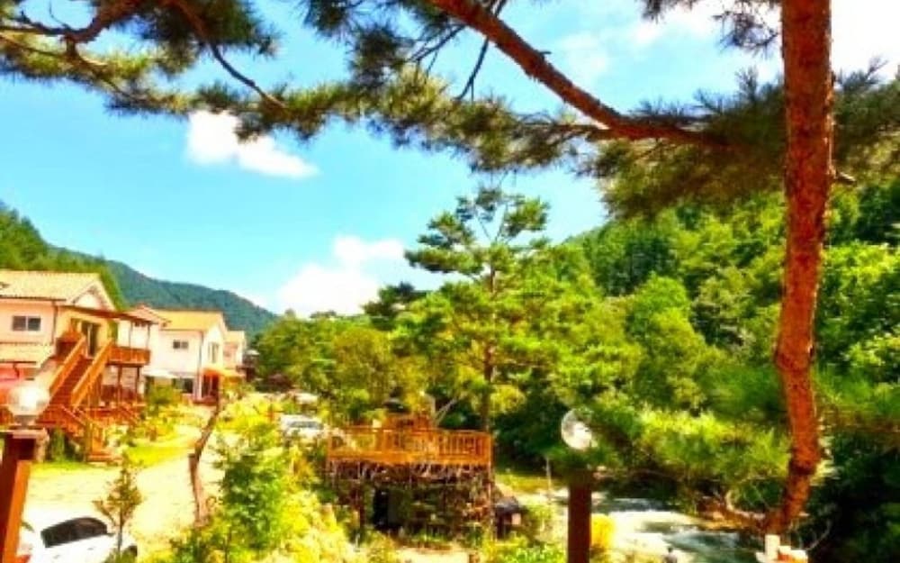 Фото Jeongseon Daon Pension