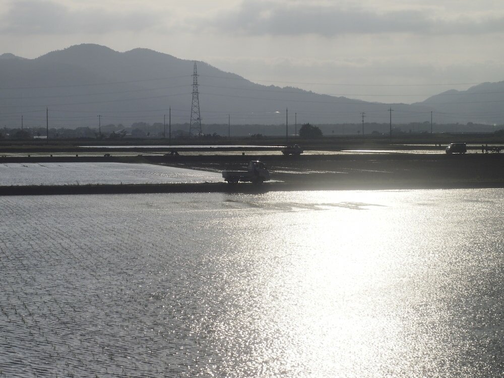 Фото Bishamon House