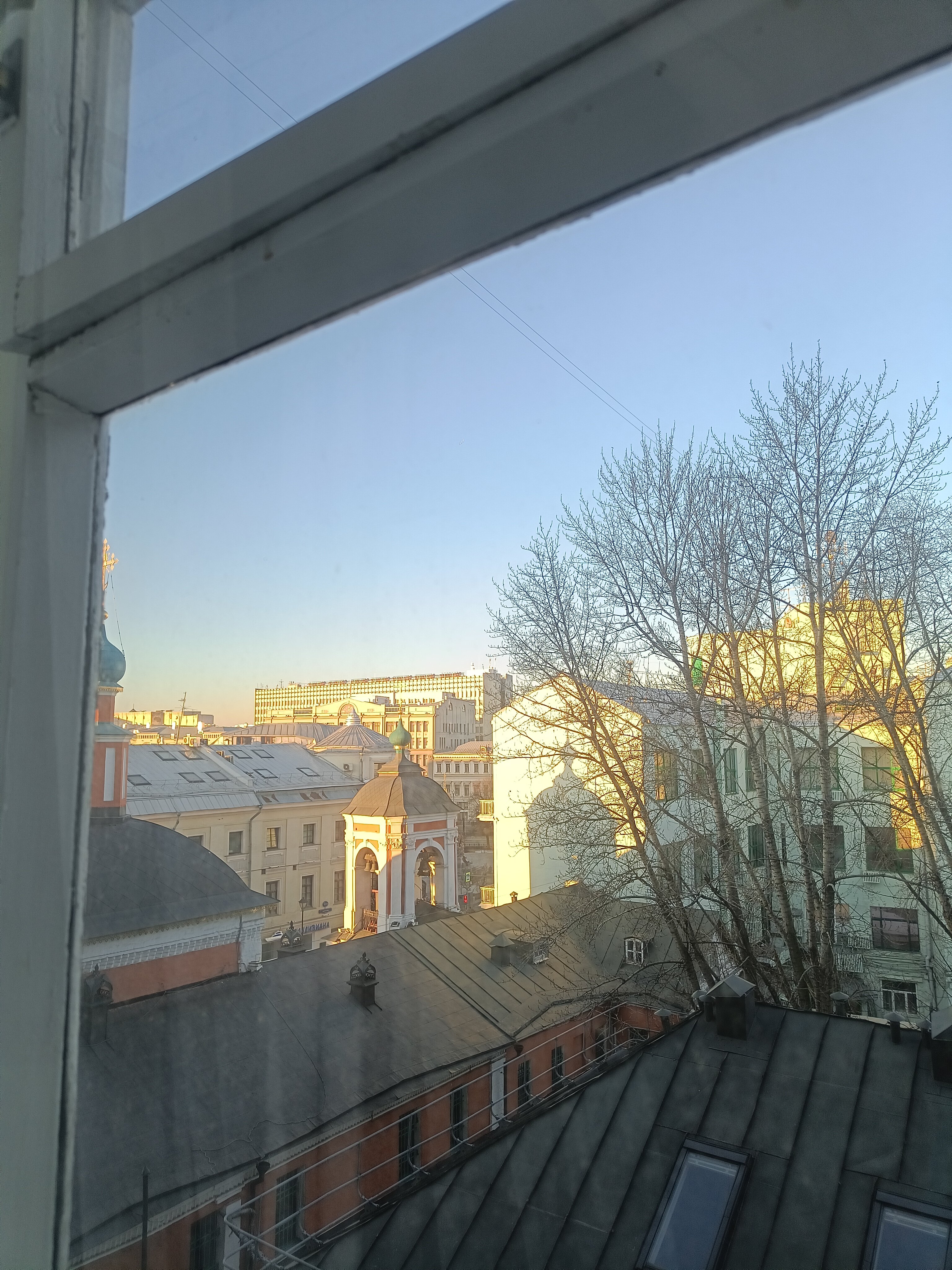 Фото 7 Слонов