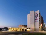 Ibis Braganca