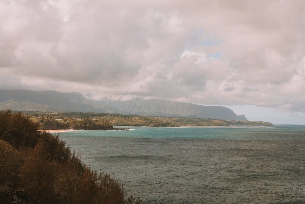 Фото Plantation Hale Suites