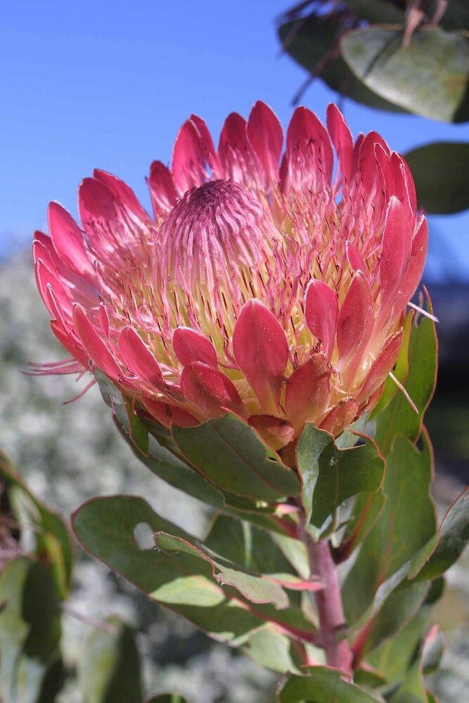 Фото Far Hills Hotel