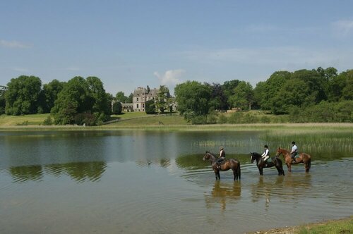 Гостиница Castle Leslie Estate