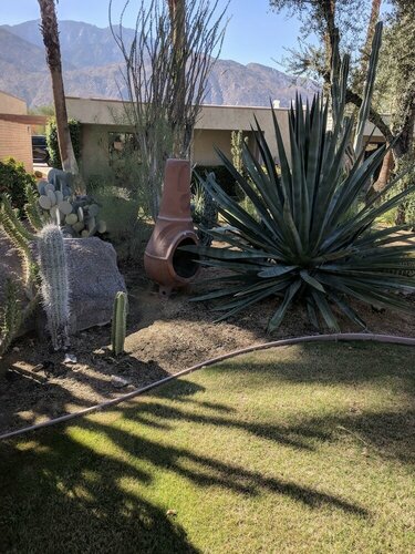 Внешний вид отеля Desert Isle of Palm Springs в Палм-Спрингс, фото 5