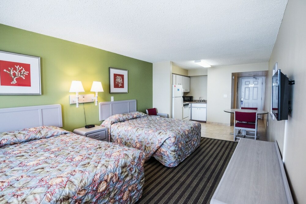 Фото Osprey on the Gulf