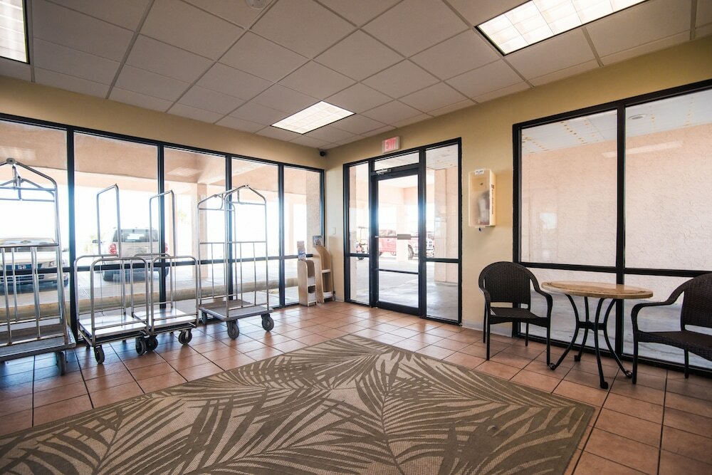 Фото Osprey on the Gulf