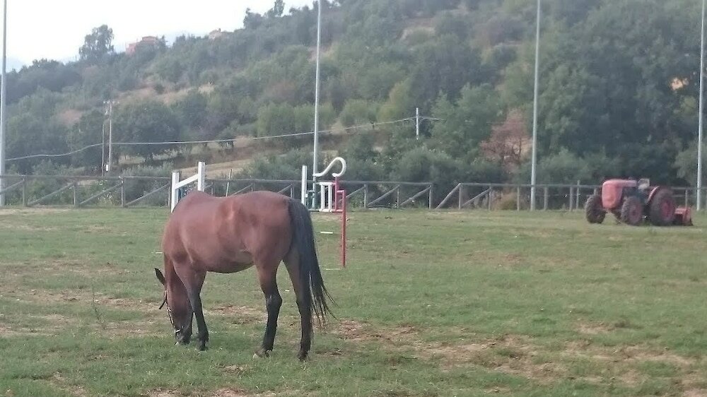 Фото Agriturismo Fonte di Maroglio