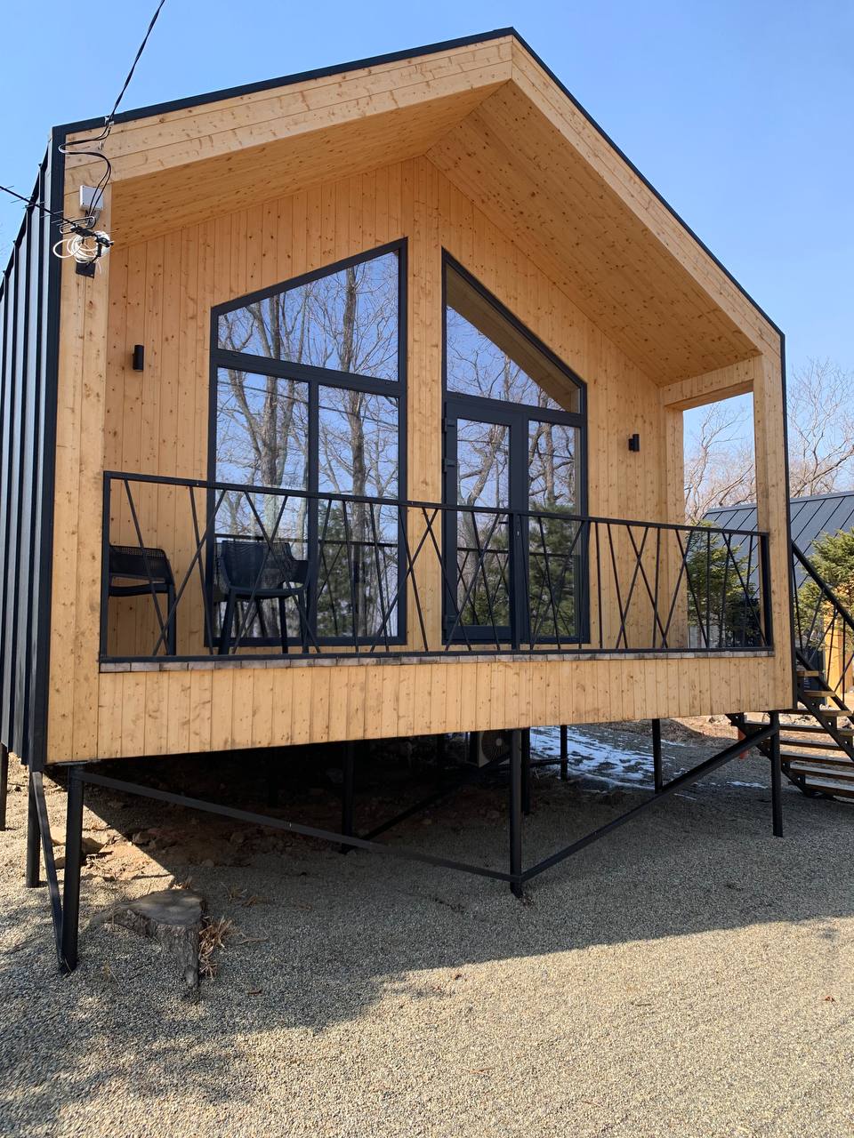 Фото Pine Family