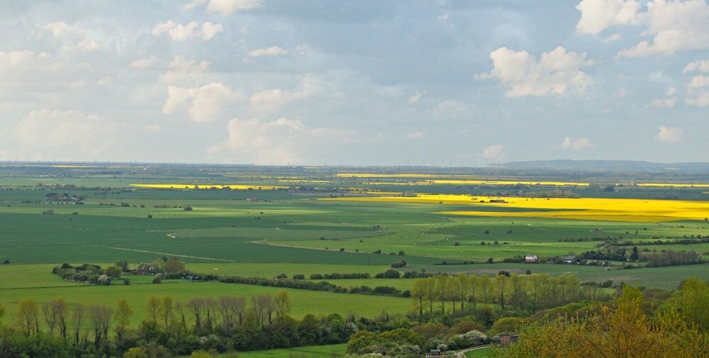 Фото Bear Lodge - Glamping