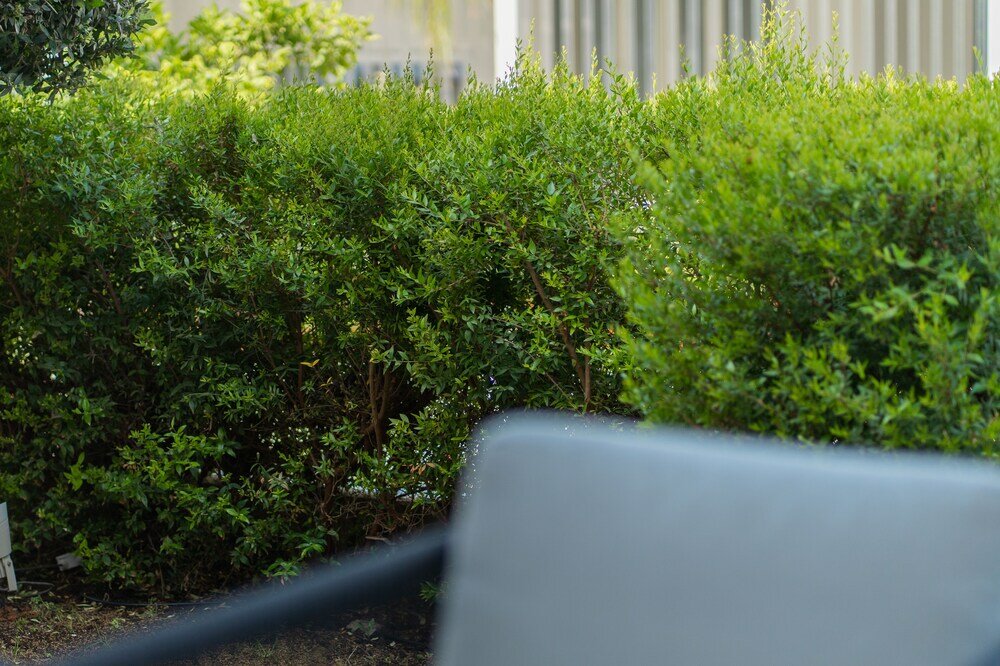 Фото Silver Park