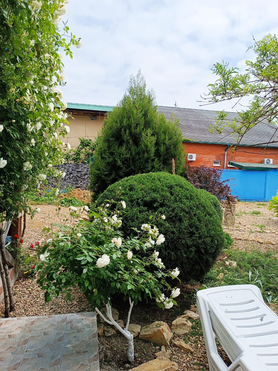 Фото Аннушка