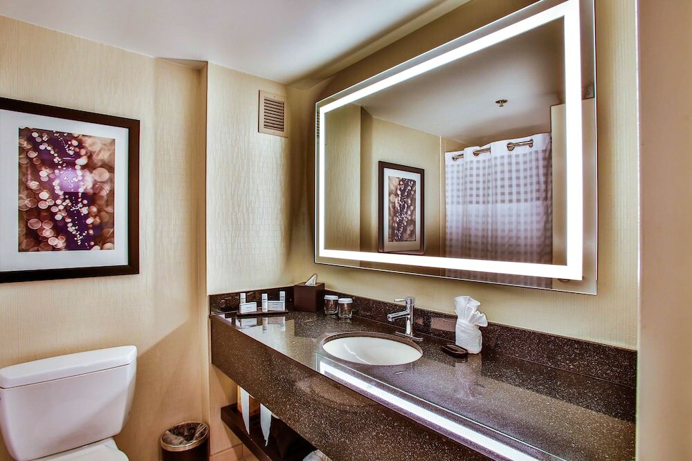 Фото Embassy Suites by Hilton Chicago Downtown Magnificent Mile