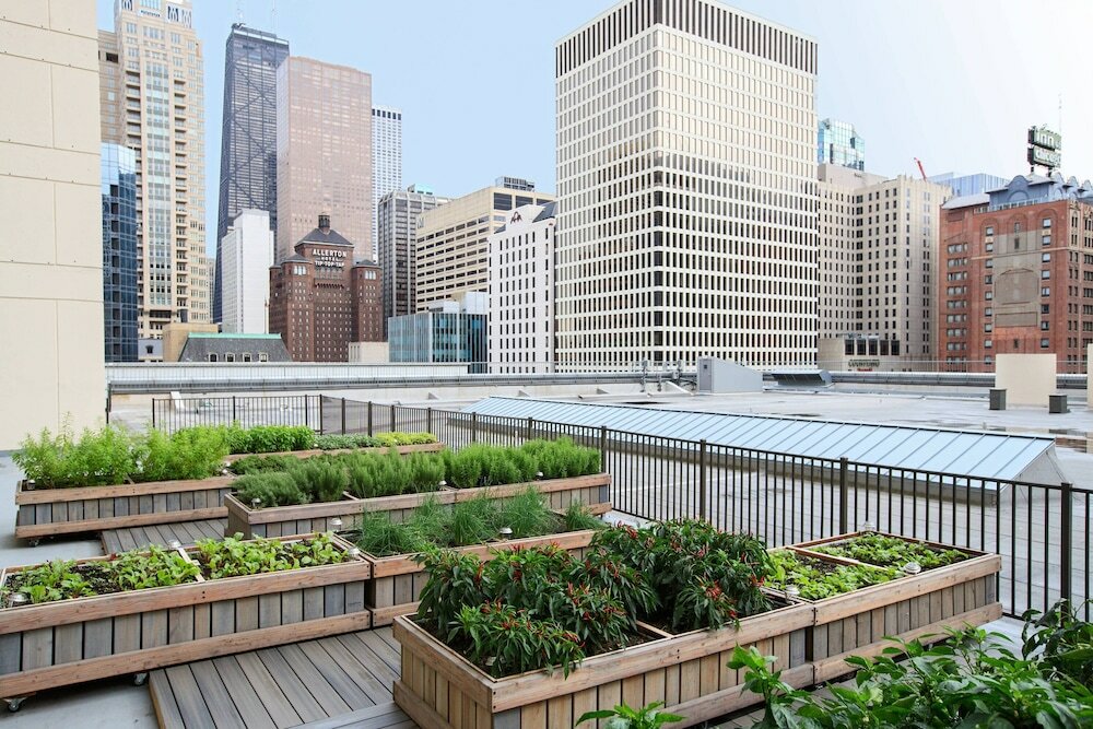 Фото Chicago Marriott Downtown Magnificent Mile