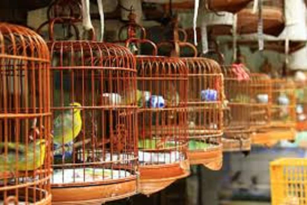 Фото Royal Plaza Hotel