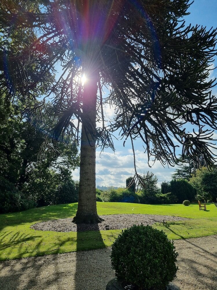 Фото Alexander House And Utopia SPA