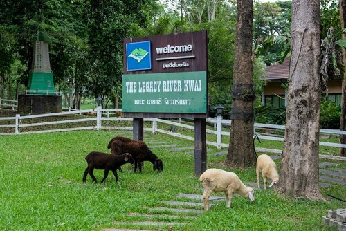 Гостиница The Legacy River Kwai Resort