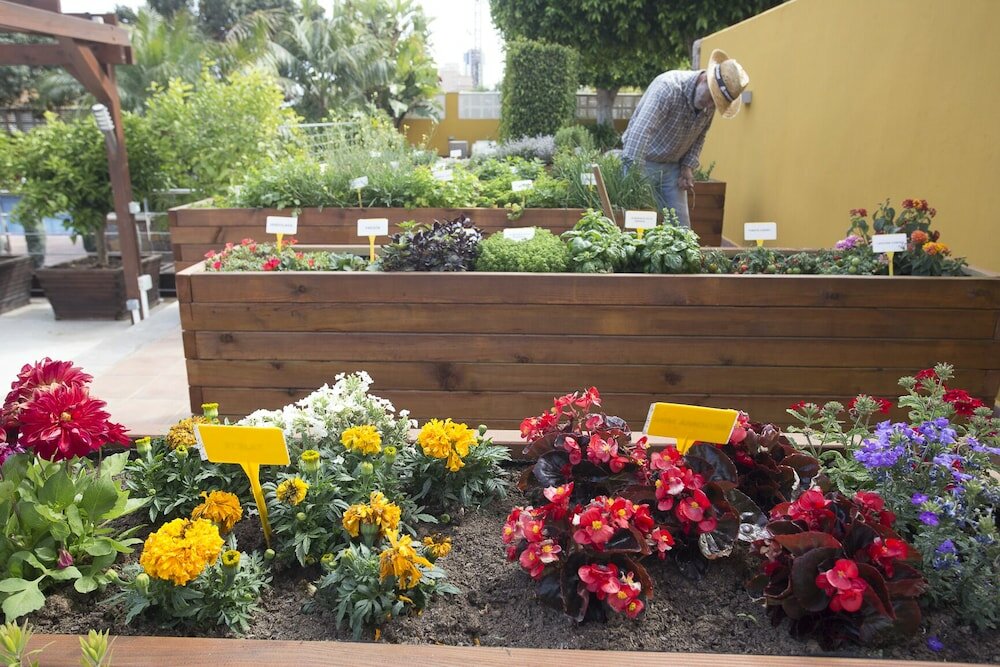 Фото The Cook Book Gastro Boutique Hotel & SPA