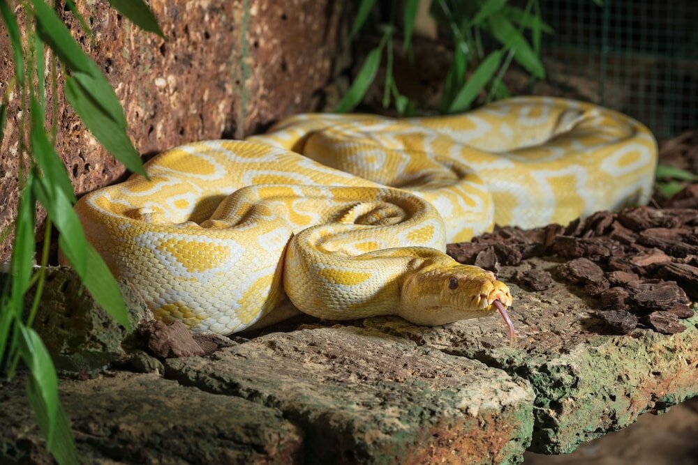 Фото Wellness Hotel Babylon