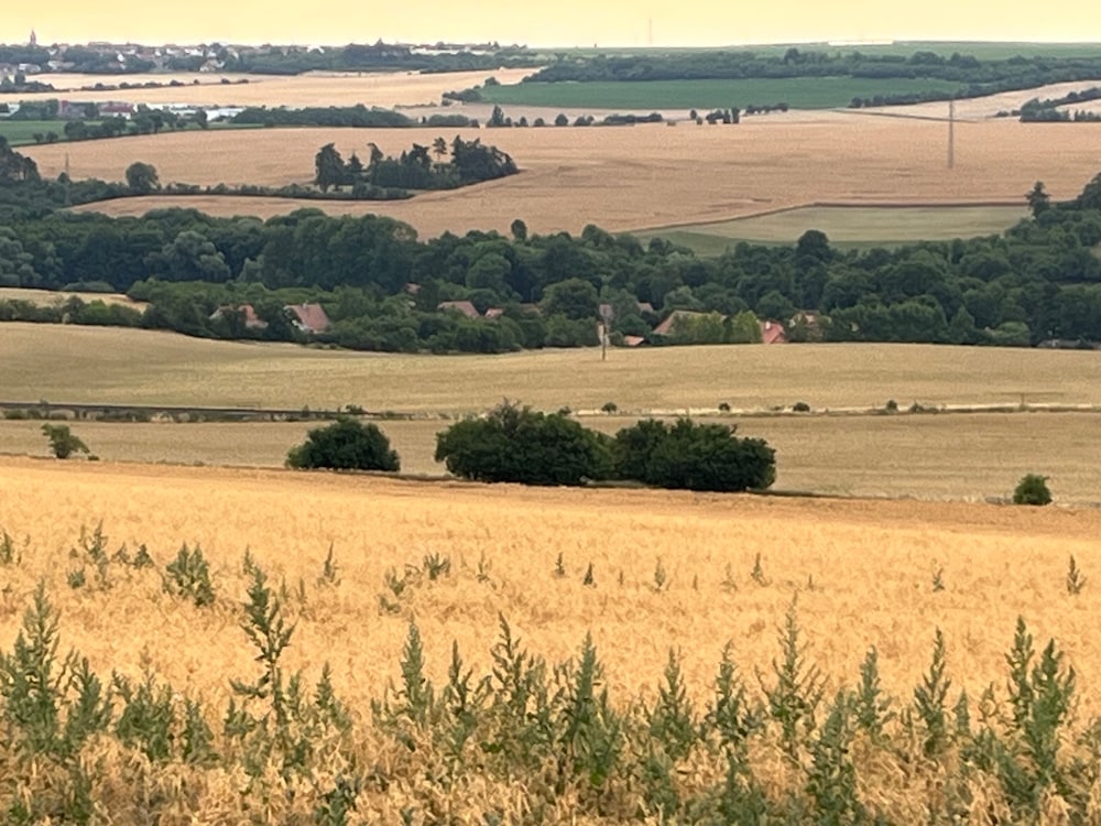 Фото Pension Zelený grunt