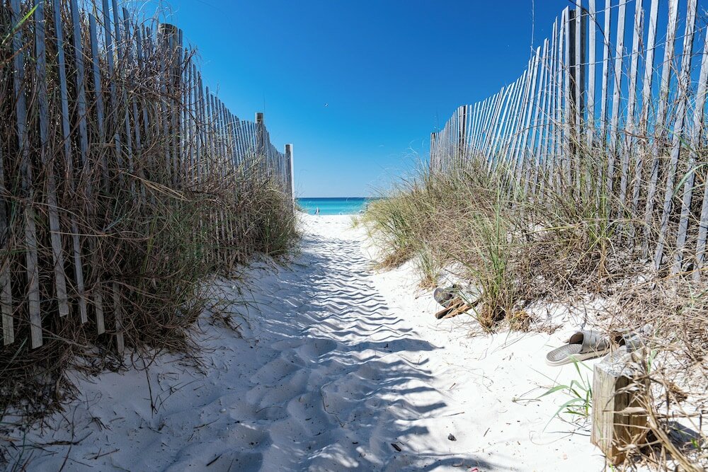 Фото Sea Forever