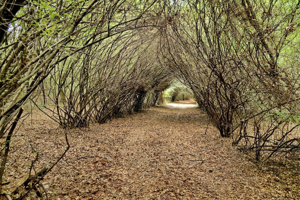 Фото Dunkeld East