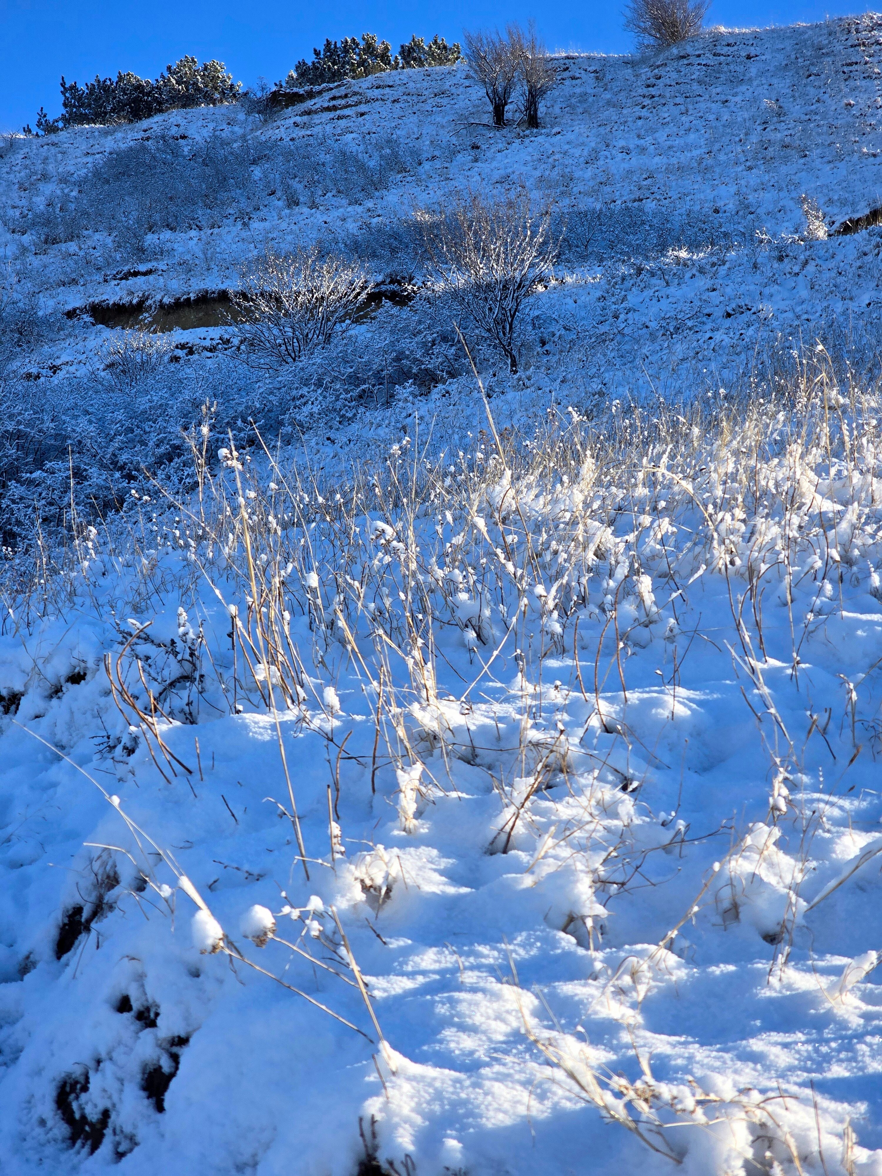 Фото Нарзан Вест