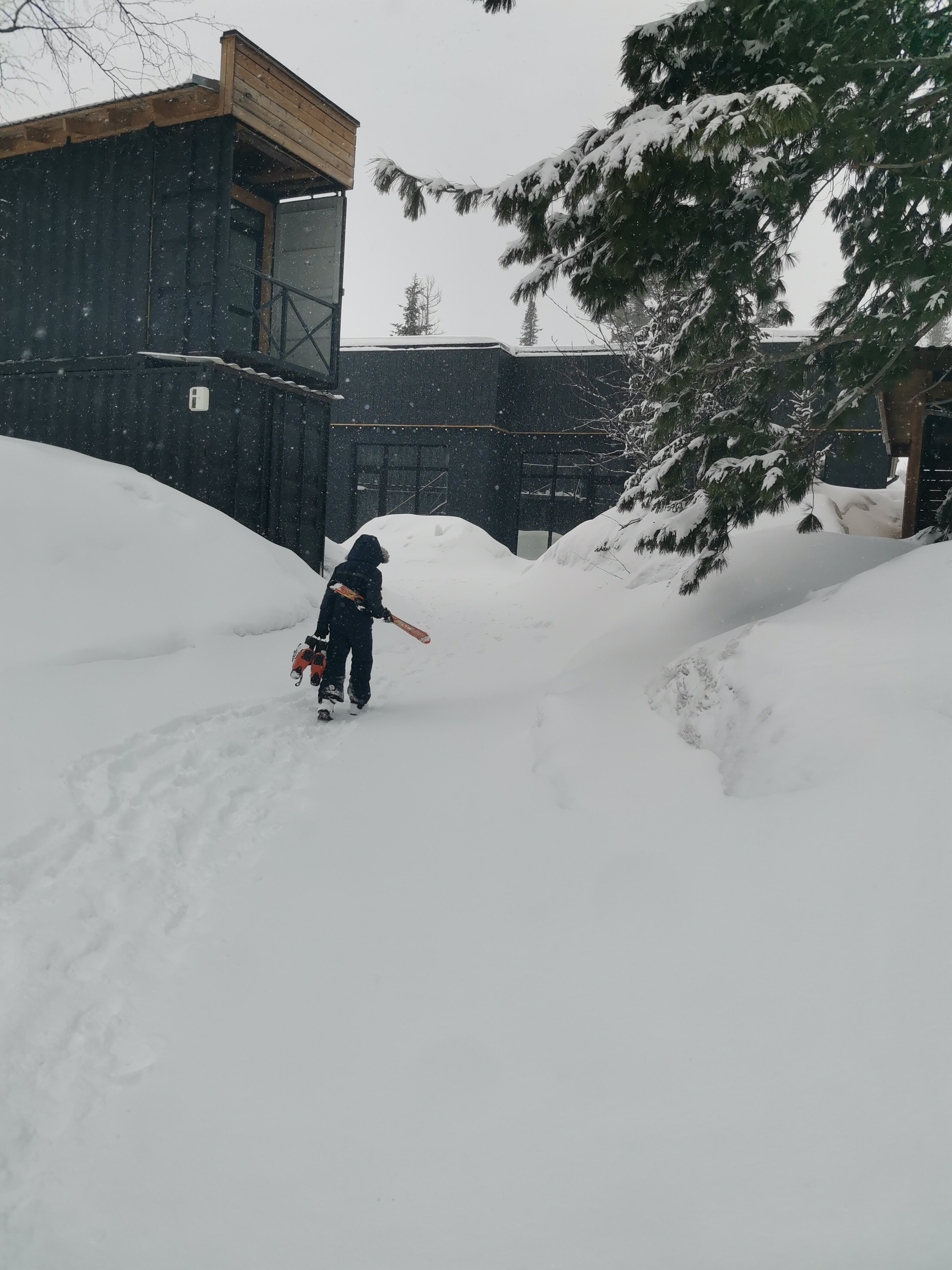 Фото Альпика Хаус