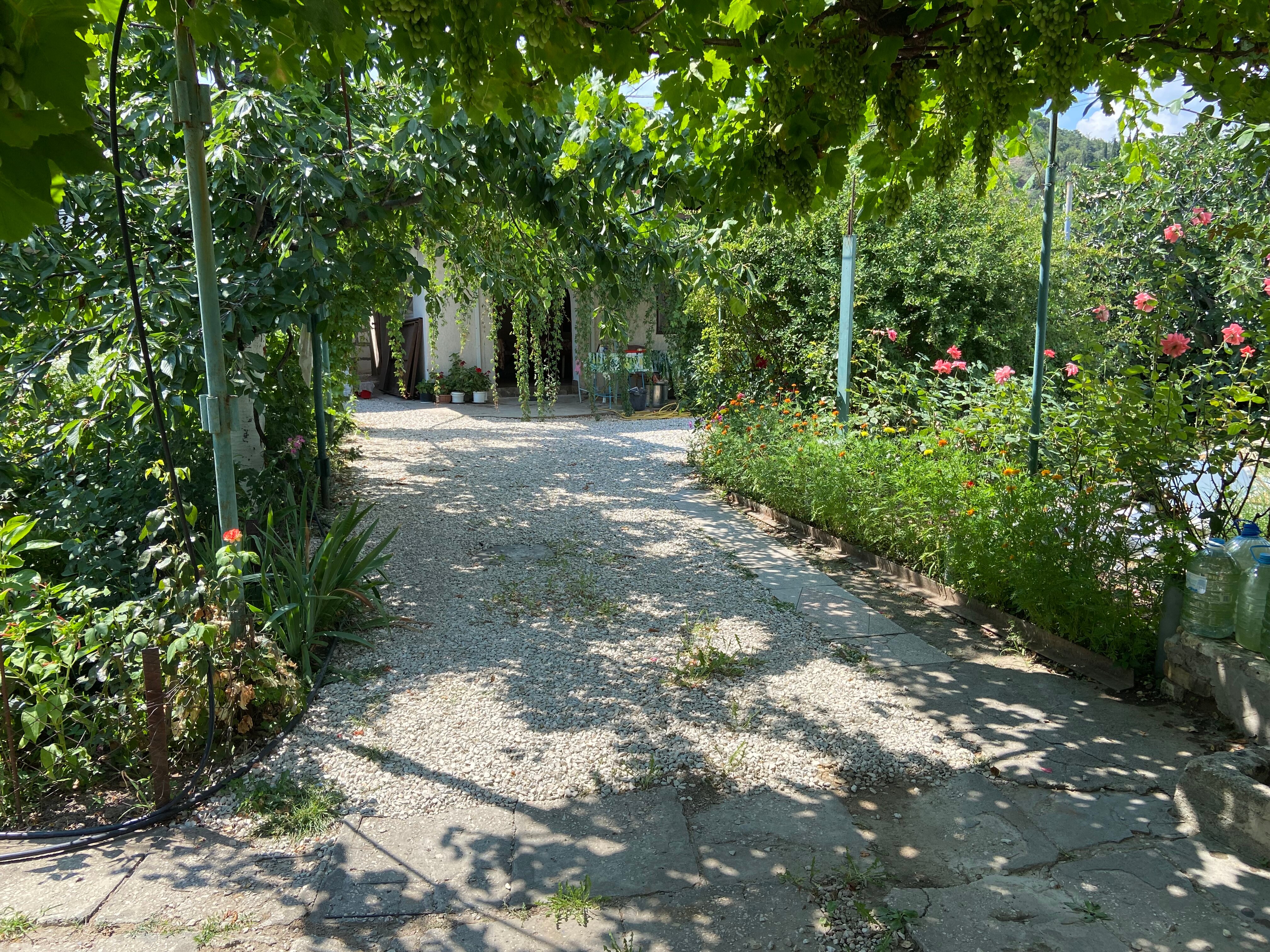 Фото На Шоссейной