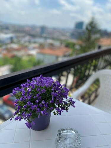 Гостиница Apartment Perla в Приштине