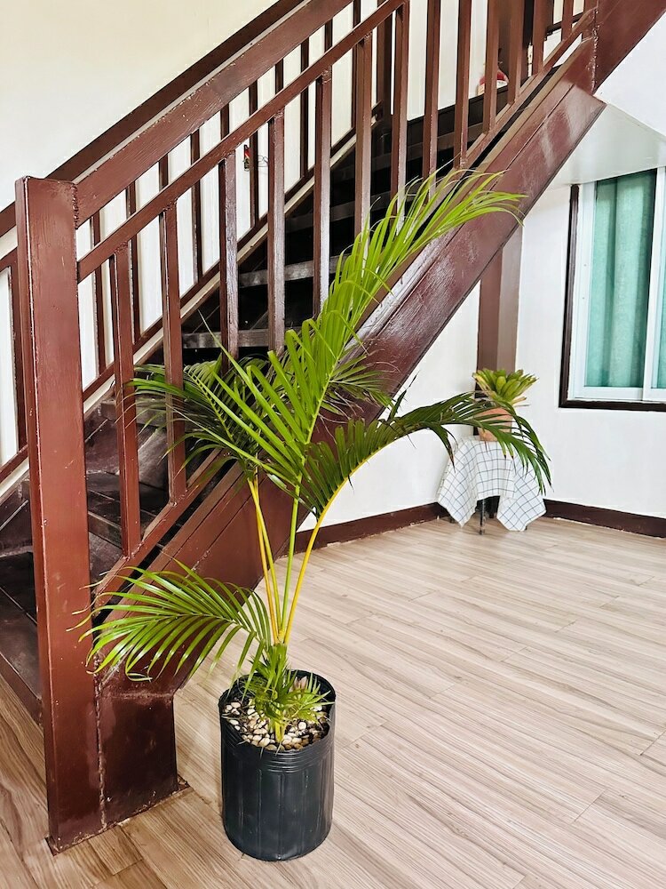 Фото Amancio's Balai