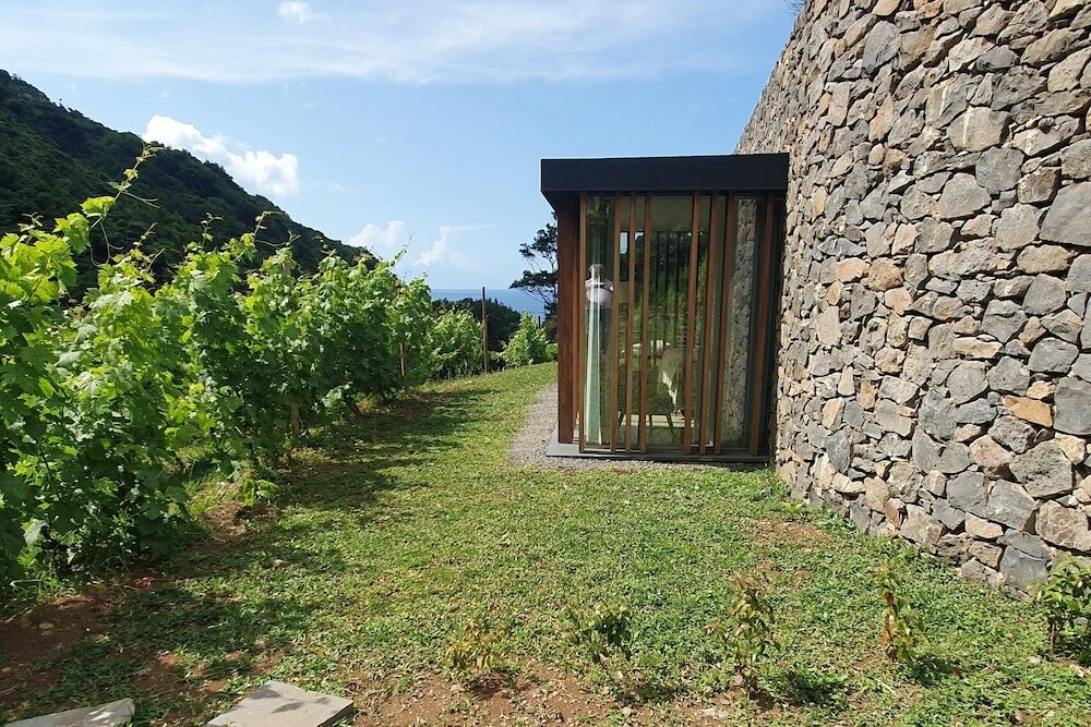 Фото Terrabona Nature & Vineyards