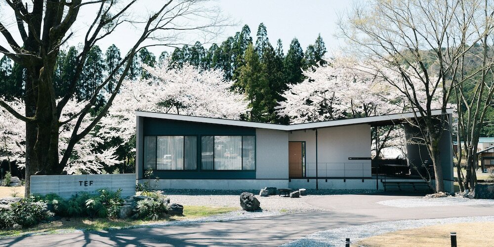 Фото Tef Tanıgumı