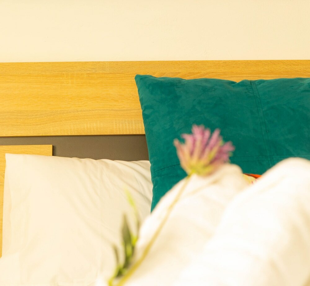 Фото Hostal Ventura Premium