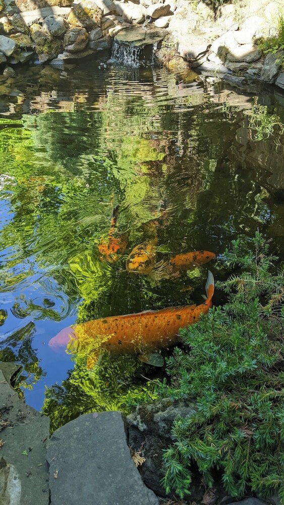 Фото A Cowslip's Belle Inn