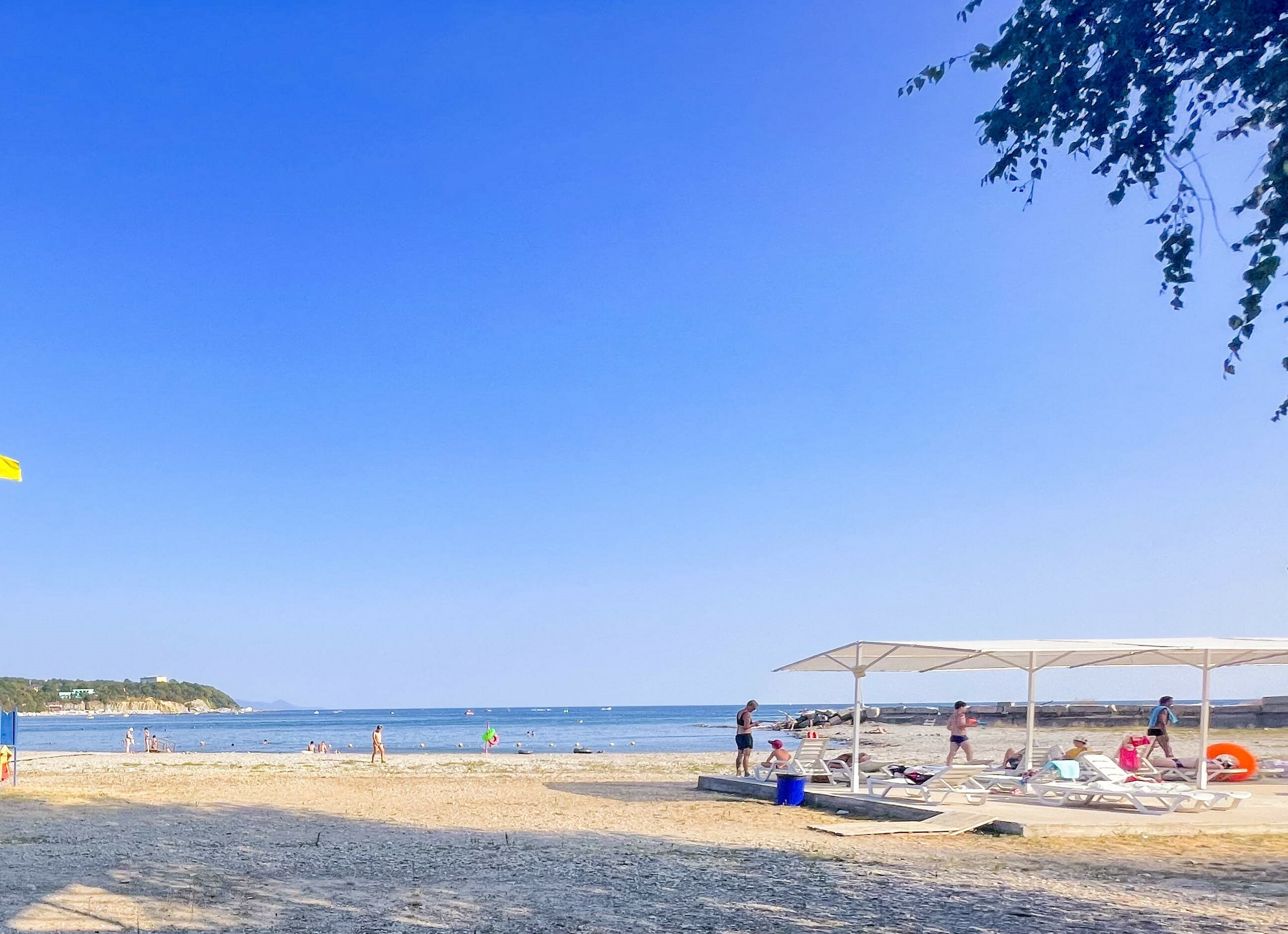 Фото Мореин