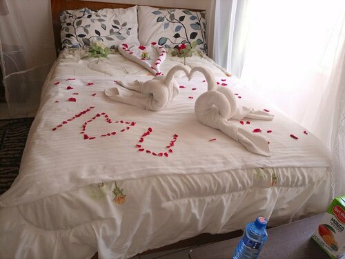 Гостиница Hotel Lillies