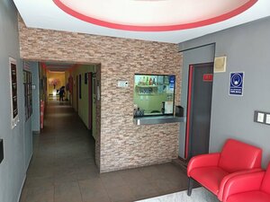 Гостиница Hotel Piet