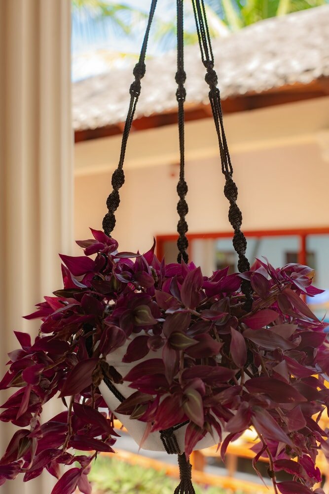 Фото Little Pompeii Boutique Hotel - Adults Only