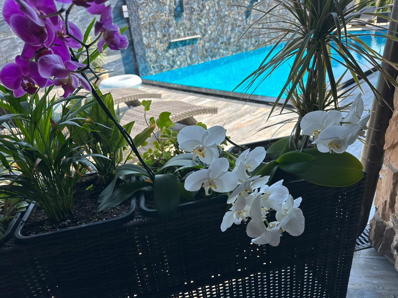 Фото Вилла Вита